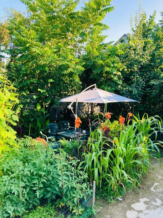 Guest House Barbi Batumi Esterno foto