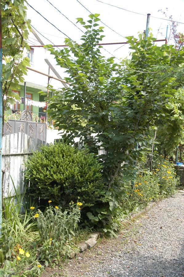 Guest House Barbi Batumi Esterno foto